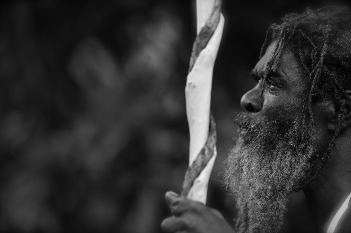 Chief Moses