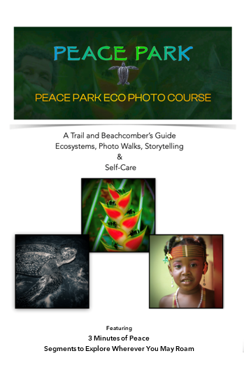 Peace Park Eco Photo Course: Capturing Nature's Story