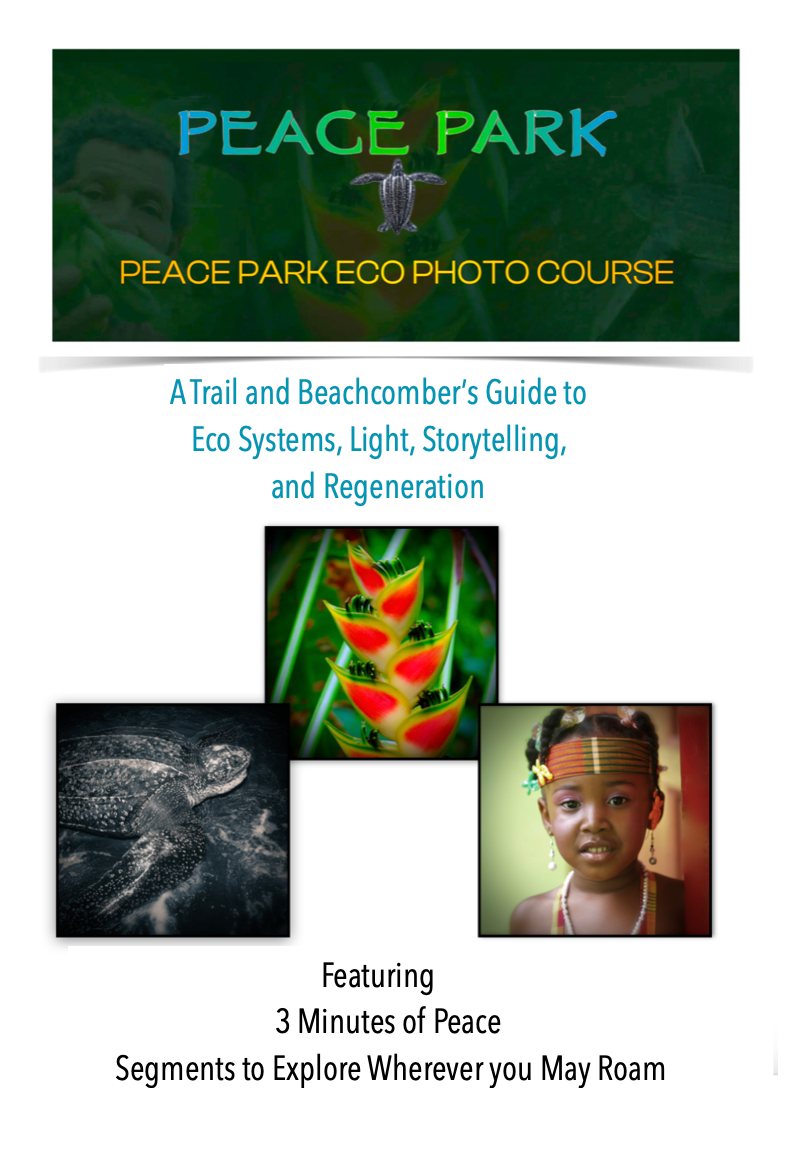 Peace Park Eco Photo Course: Capturing Nature's Story